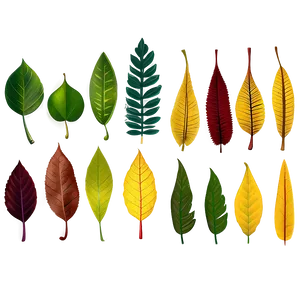 Leaf Background PNG Dcc75