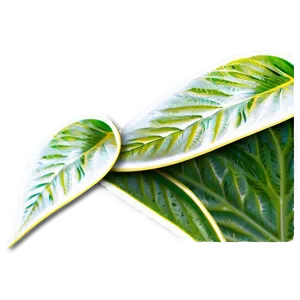 Leaf Banner PNG Uxq32