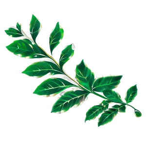 Leaf Border PNG 79