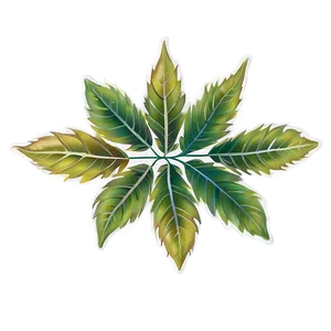 Leaf Border PNG Bua