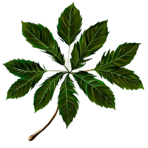 Leaf Branch PNG Jjo