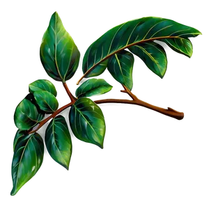 Leaf Branch PNG Tmh