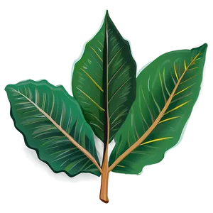 Leaf Cartoon PNG Fge4