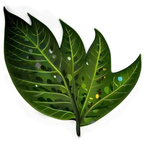Leaf Clipart PNG 81