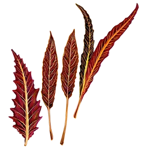 Leaf Decorative Line PNG Fkh PNG