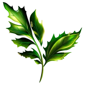 Leaf Design PNG 05032024