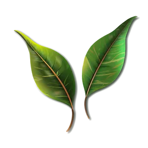 Leaf Design PNG Ljn PNG