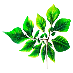 Leaf Design PNG Quh90 PNG