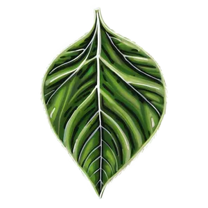 Leaf Drawing PNG 05032024