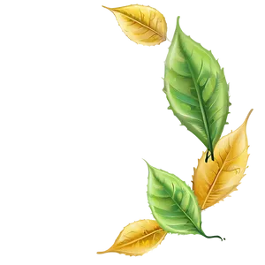 Leaf Frame PNG 49 PNG