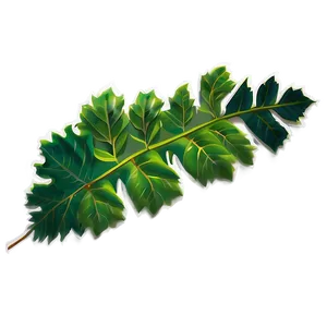 Leaf Illustration PNG Dui33 PNG