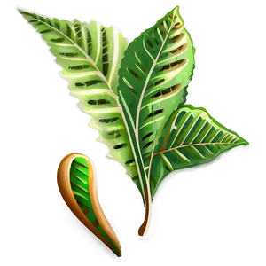 Leaf Illustration PNG Qgj PNG
