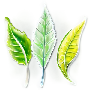 Leaf Logo PNG Ewp