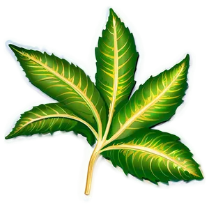 Leaf Motif PNG 29