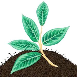 Leaf Mulch For Soil Health PNG Xtg18 PNG