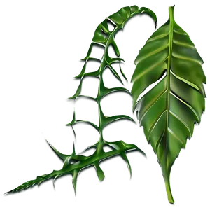 Leaf Outline PNG 05032024
