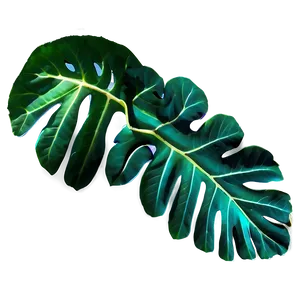 Leaf Outline PNG Fte