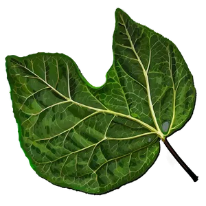 Leaf Outline PNG Tjf