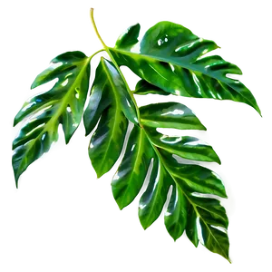Leaf Overlay PNG 05032024