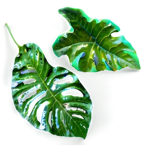 Leaf Overlay PNG Qeo24