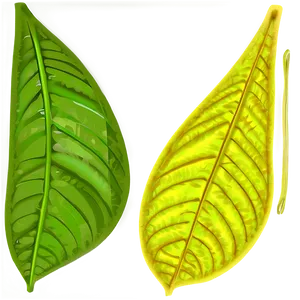 Leaf Pattern Detail PNG 05032024