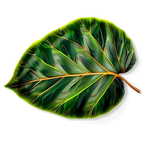 Leaf Pattern Detail PNG 22