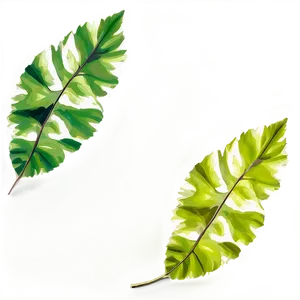 Leaf Pattern PNG 05032024