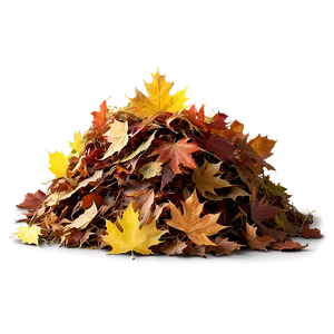 Leaf Pile D PNG image