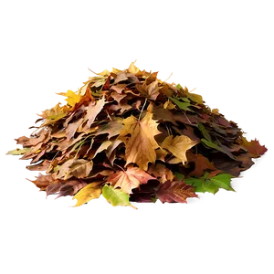 Leaf Pile Fall Png 05042024 PNG image