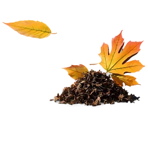 Leaf Pile Fall Png 14 PNG image