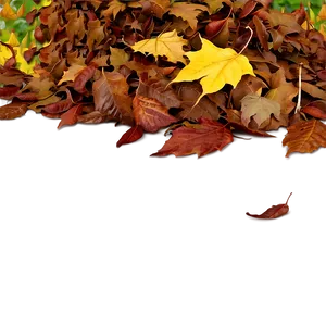 Leaf Pile In Park PNG 78