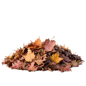 Leaf Pile In Park PNG Jda