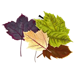 Leaf Pile In Sunlight PNG 93