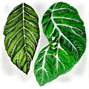 Leaf Print PNG 50