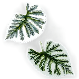 Leaf Shape PNG Nfc PNG