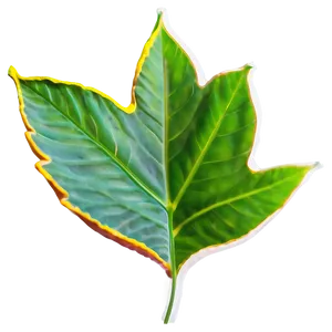 Leaf Shape PNG Ruj44