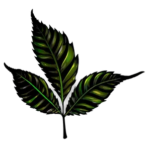 Leaf Silhouette Black PNG 05032024