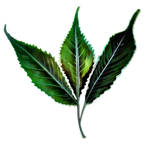 Leaf Silhouette Black PNG 18