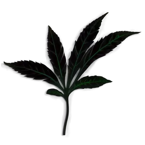 Leaf Silhouette Black PNG 81