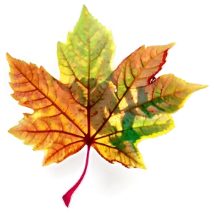 Leaf Silhouette PNG Wrs20