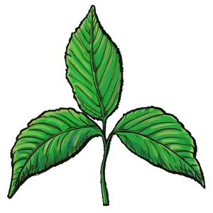 Leaf Sketch Png Dmc PNG image