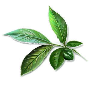 Leaf Spray PNG 05032024