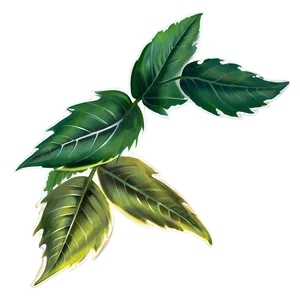 Leaf Spray PNG Hqe