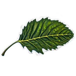 Leaf Stamp PNG 05032024