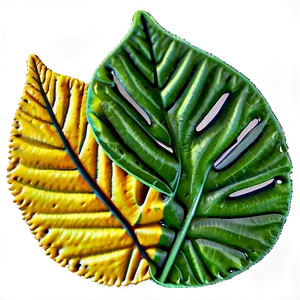 Leaf Stamp PNG 8