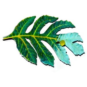 Leaf Stencil PNG Spm84