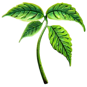 Leaf Swirl PNG Yqq