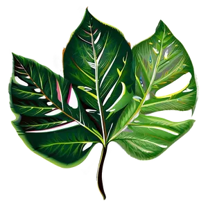Leaf Vector PNG 05032024