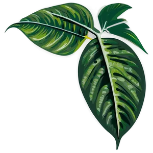 Leaf Vector PNG 28