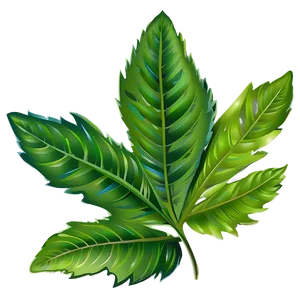 Leaf Vector PNG Bsg